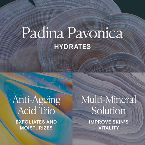 V2H4CF71E8B2ECF53F46585DC629230ACB9R7706349P4