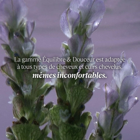 V5H6FE93F360CC17D9D2443F1F8713E4E6AR6240511P3