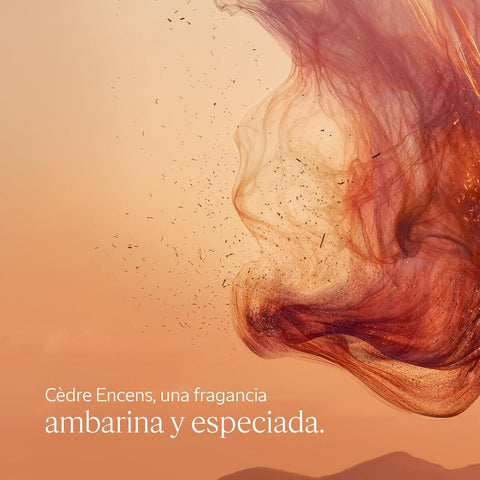 V2H7A47187D570C9A91A0FA2FF89590E957R7407119P3