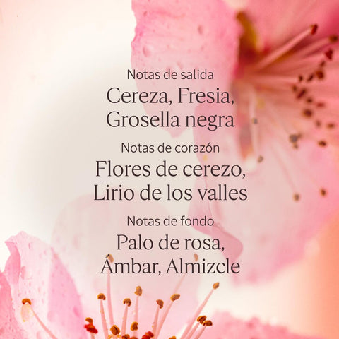 V4H029D432E27B76117FA4CEDA3B627E7A3R7407089P4