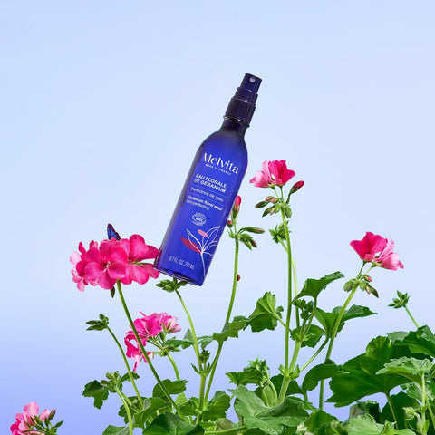 V5H390B0E675ADD0A1D6F147F7985E36D8FR6241719P3