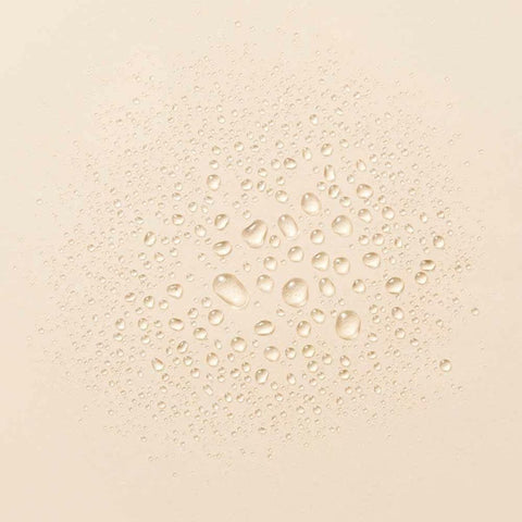 V3HB2F9526727CCA7C67889DCA5C48E9CF9R5625681P2