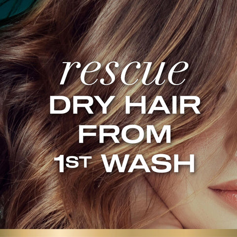 V3H0DD7AE338F7EF8AD96D89869EBB388A8R7718095P6