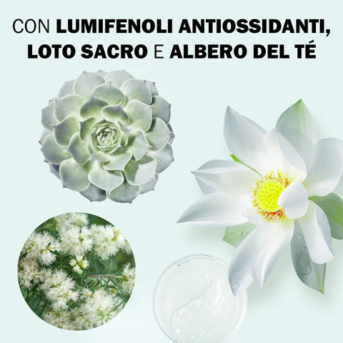 V10H3BE205F3BA4A3CDEE3506CED59FD7BFAR7718916P3