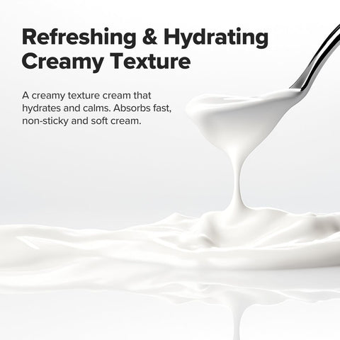 V2HA2A6EA06253E9C4F2A60DF514DDD4424R7528365P6